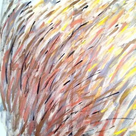 Casa Roshan Playa Honda